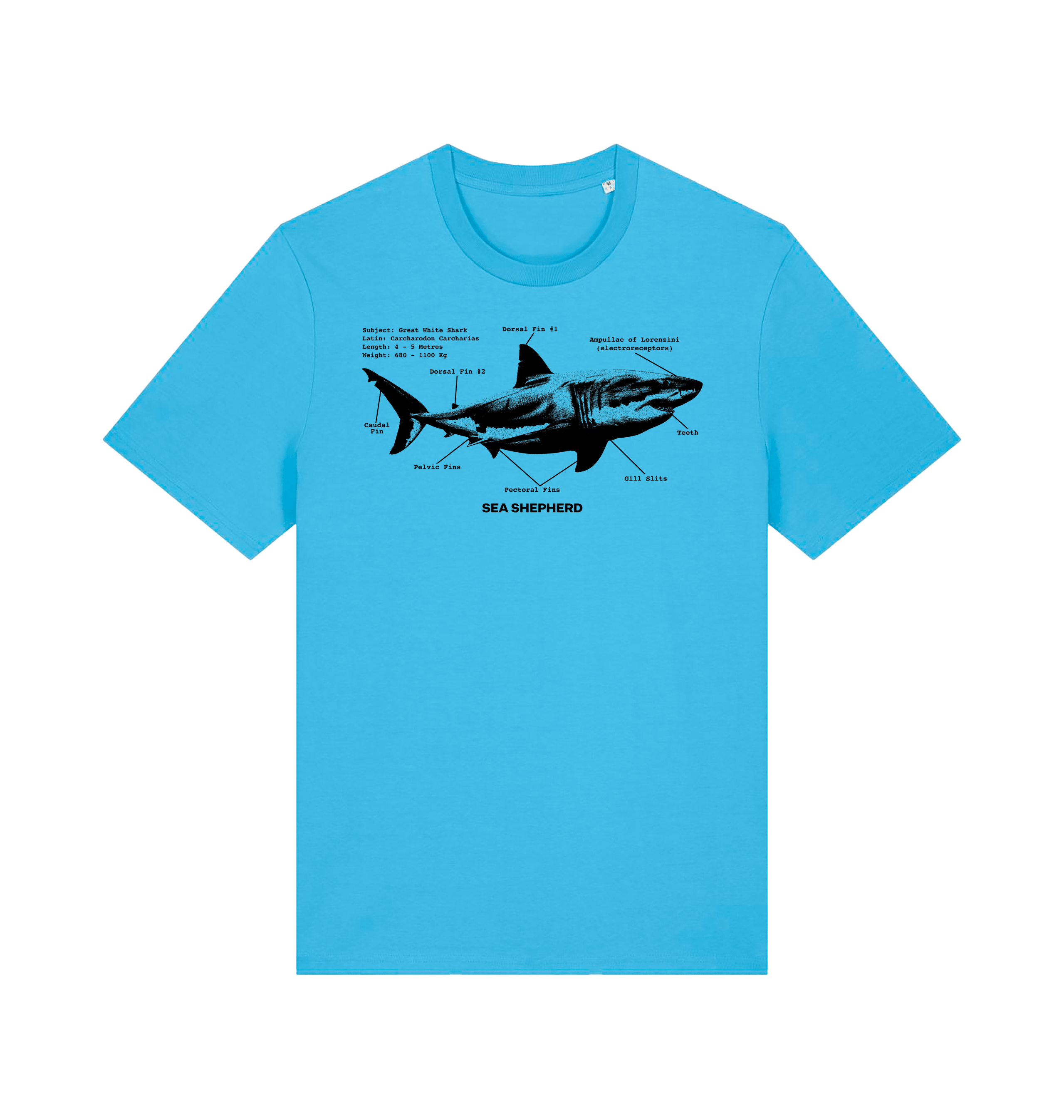 Aqua Blue Printed T-shirt Front